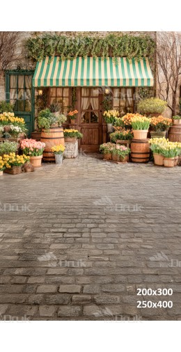 Tło fotograficzne „Kwiaciarnia z zielono-białą markizą” | E640